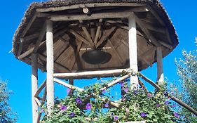 Los furgones de Areco
